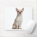 Suche nach lustige welpen mousepads Chihuahua