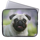 Recherche de faon ordinateurs portables protections Regarder l'appareil photo