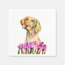 Recherche de crocus Fleur