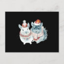 Recherche de chinchilla cartes postales Animal