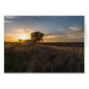 Recherche de cabane vœux cartes Rustique