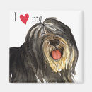 Recherche de plaine magnets Pour tous