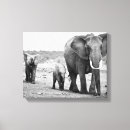 Suche nach afrika leinwandbilder Afrikanischer elefant