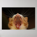 Recherche de bâillon posters Drôle