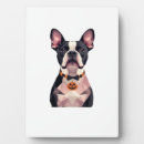 Recherche de chemise plaques Pug