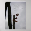 Recherche de maple tree poster Trees