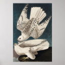 Recherche de oiseaux f art Rétro