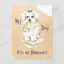 Recherche de maltais cartes postales Chiot