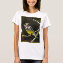 Recherche de cire tshirts Cire de cèdre