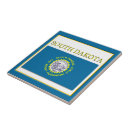 Recherche de sud carreaux Drapeau