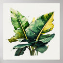 Recherche de banana posters Feuille de bananier