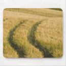 Suche nach toskana mousepads Landschaft