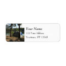 Recherche de tente photographie Photographie de la nature