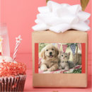 Recherche de chiot chaton autocollants Vacances