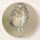 Suche nach esel untersetzer Natur