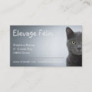 Recherche de felines cartes visite Félin