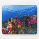 Suche nach fläche mousepads Natur