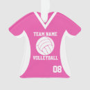 Suche nach beachvolleyball ornamente Team