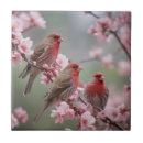 Suche nach rosa blüten fliesen Vögel