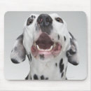 Suche nach ärger mousepads Natur