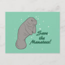 Recherche de lamantin cartes postales Vache marine