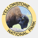 Suche nach yellowstone nationalpark aufkleber Büffel
