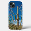 Recherche de sud ipad coques Désert