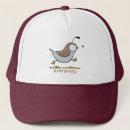 Recherche de caille casquettes Californie