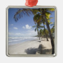 Suche nach tobago ornamente Reise