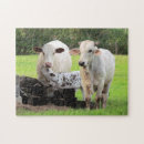 Suche nach kalb puzzle Kuh