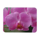 Recherche de orchidée magnets Fleur