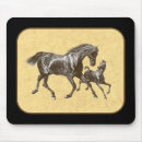 Recherche de pouliches tapis souris Colt