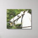 Recherche de équin impressions sur toile Équitation