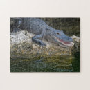 Recherche de crocodile puzzles Animal sauvage