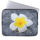 Suche nach plumeria laptop schutzhüllen Blume