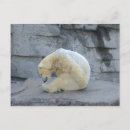 Recherche de ursus Porter