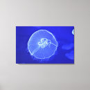 Suche nach valencia poster Blau