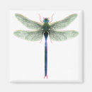 Recherche de libellules magnets Pour elle