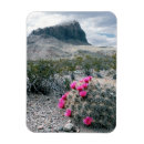 Recherche de état magnets Désert