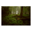 Recherche de perdu posters Nature