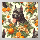 Recherche de cane corso art Corse de canne