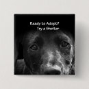 Suche nach labrador retriever buttons Schwarzes labor