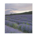 Suche nach felder notizblock Cropland