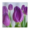 Recherche de fleur violette carreaux Tulipe