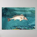 Recherche de peinture poissons art Pêche