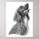 Suche nach irish setter poster Irisch