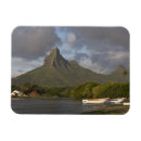 Recherche de maurice magnets Afrique