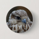 Suche nach räuber buttons Wild