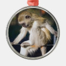 Recherche de singe ornements Décoration