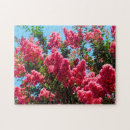 Recherche de myrtie Fleurs roses